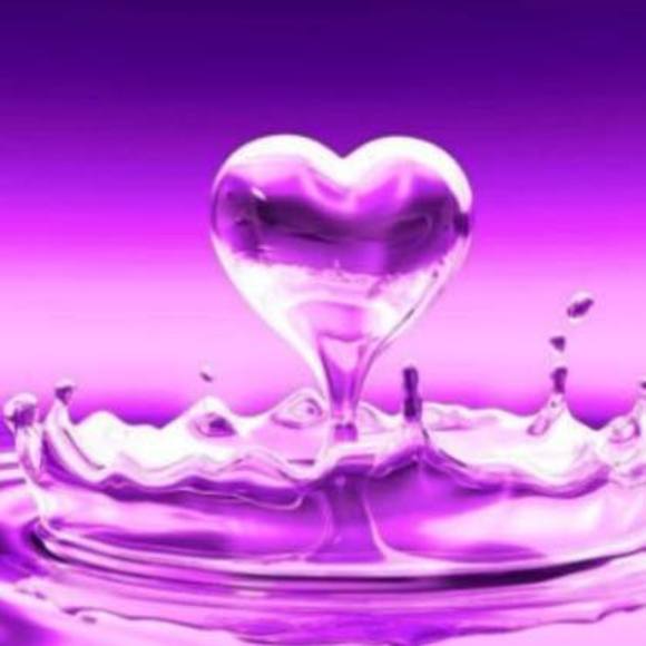 Meet your Posher, Brandy - Picture 1 of 1